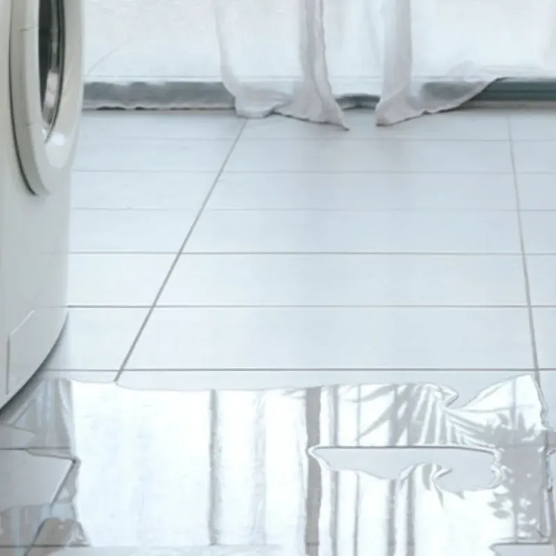 Appliance Leak Cleanup in Lluveras, PR