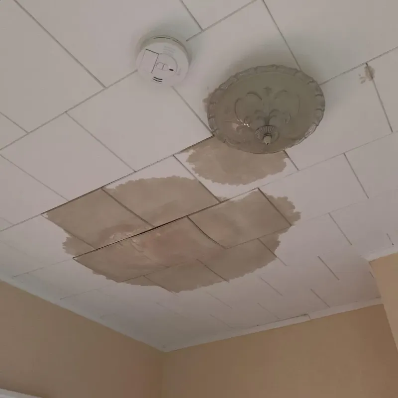 Ceiling Water Damage Repair in Lluveras, PR