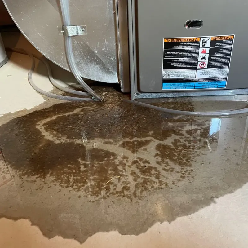 Pipe Burst and Leak Restoration in Lluveras, PR