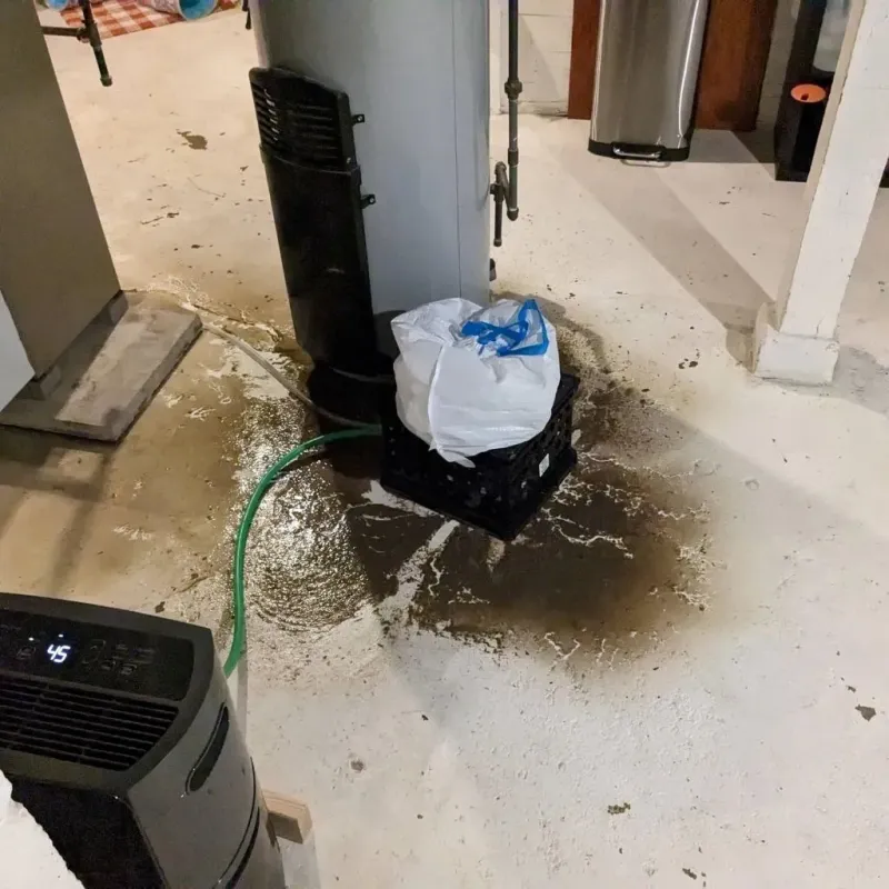 Sewage Backup Cleanup Service in Lluveras, PR